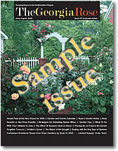 Free Sample Issue!